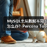 MySQL主从数据不同步怎么办?Percona Toolkit实用解决方案(图2) MySQL主从数据不同步怎么办?Percona Toolkit实用解决方案(图2)