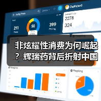 非炫耀性消费为何崛起?辉瑞药背后折射中国医药矛盾(图4) 非炫耀性消费为何崛起?辉瑞药背后折射中国医药矛盾(图4)