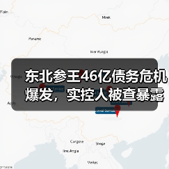东北参王46亿债务危机爆发,实控人被查暴露出财务造假真相(图4) 东北参王46亿债务危机爆发,实控人被查暴露出财务造假真相(图4)