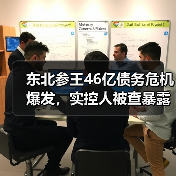 东北参王46亿债务危机爆发,实控人被查暴露出财务造假真相(图3) 东北参王46亿债务危机爆发,实控人被查暴露出财务造假真相(图3)