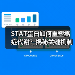 STAT蛋白如何重塑癌症代谢？揭秘关键机制（图1）