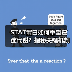 STAT蛋白如何重塑癌症代谢？揭秘关键机制（图2）