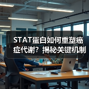 STAT蛋白如何重塑癌症代谢？揭秘关键机制（图3）