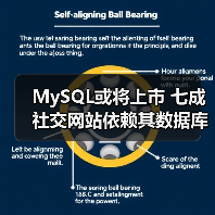 MySQL或将上市 七成社交网站依赖其数据库(图2) MySQL或将上市 七成社交网站依赖其数据库(图2)
