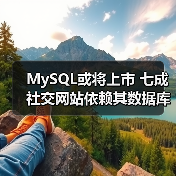 MySQL或将上市 七成社交网站依赖其数据库(图4) MySQL或将上市 七成社交网站依赖其数据库(图4)