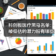 科创板医疗黑马名单：被低估的潜力股有哪些？（图3）