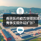 南京医药能否突破区域竞争实现外延扩张？（图2）