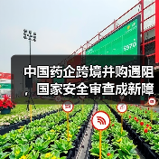 中国药企跨境并购遇阻，国家安全审查成新障碍？（图4）