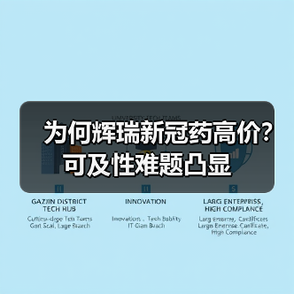 为何辉瑞新冠药高价?可及性难题凸显(图4) 为何辉瑞新冠药高价?可及性难题凸显(图4)
