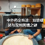 中外药企殊途:双雄崛起与双熊困境之谜(图3) 中外药企殊途:双雄崛起与双熊困境之谜(图3)