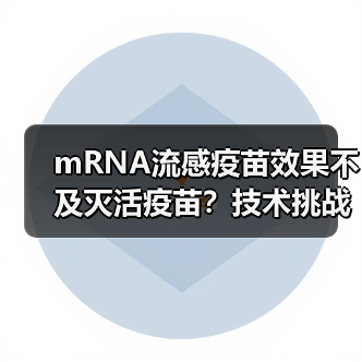 mRNA流感疫苗效果不及灭活疫苗?技术挑战与未来展望(图1) mRNA流感疫苗效果不及灭活疫苗?技术挑战与未来展望(图1)