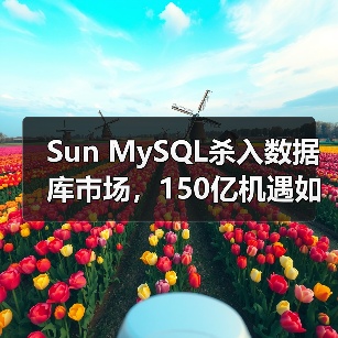 Sun MySQL杀入数据库市场,150亿机遇如何布局?(图4) Sun MySQL杀入数据库市场,150亿机遇如何布局?(图4)