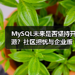 MySQL未来是否坚持开源?社区担忧与企业版策略引争议(图2) MySQL未来是否坚持开源?社区担忧与企业版策略引争议(图2)