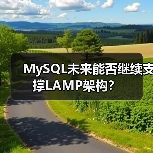 MySQL未来能否继续支撑LAMP架构?(图2) MySQL未来能否继续支撑LAMP架构?(图2)