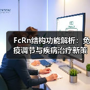 FcRn结构功能解析:免疫调节与疾病治疗新策略(图1) FcRn结构功能解析:免疫调节与疾病治疗新策略(图1)