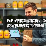 FcRn结构功能解析:免疫调节与疾病治疗新策略(图3) FcRn结构功能解析:免疫调节与疾病治疗新策略(图3)
