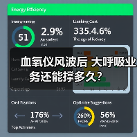血氧仪风波后 大呼吸业务还能撑多久？（图2）