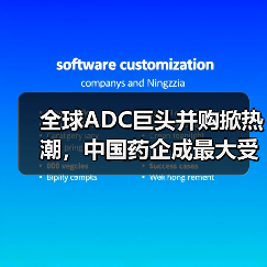 全球ADC巨头并购掀热潮,中国药企成最大受益者(图4) 全球ADC巨头并购掀热潮,中国药企成最大受益者(图4)