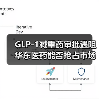 GLP-1减重药审批遇阻 华东医药能否抢占市场?(图2) GLP-1减重药审批遇阻 华东医药能否抢占市场?(图2)