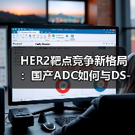 HER2靶点竞争新格局:国产ADC如何与DS-8201错位共舞?(图4) HER2靶点竞争新格局:国产ADC如何与DS-8201错位共舞?(图4)