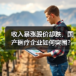 收入暴涨股价却跌,国产医疗企业如何突围?(图4) 收入暴涨股价却跌,国产医疗企业如何突围?(图4)