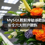 MySQL数据库敏感数据安全六大防护措施(图1) MySQL数据库敏感数据安全六大防护措施(图1)