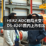 HER2 ADC格局大变?DS-8201国内上市引发行业震动(图3) HER2 ADC格局大变?DS-8201国内上市引发行业震动(图3)