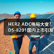 HER2 ADC格局大变?DS-8201国内上市引发行业震动(图4) HER2 ADC格局大变?DS-8201国内上市引发行业震动(图4)