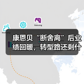 康恩贝“断舍离”后业绩回暖,转型路还剩什么?(图1) 康恩贝“断舍离”后业绩回暖,转型路还剩什么?(图1)