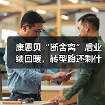 康恩贝“断舍离”后业绩回暖,转型路还剩什么?(图2) 康恩贝“断舍离”后业绩回暖,转型路还剩什么?(图2)