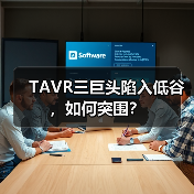 TAVR三巨头陷入低谷，如何突围？（图2）