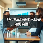 TAVR三巨头陷入低谷，如何突围？（图4）