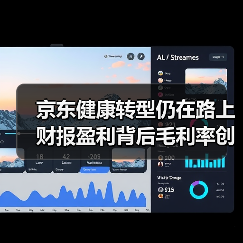 京东健康转型仍在路上 财报盈利背后毛利率创新低(图4) 京东健康转型仍在路上 财报盈利背后毛利率创新低(图4)
