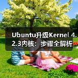 Ubuntu升级Kernel 4.2.3内核：步骤全解析（图3）