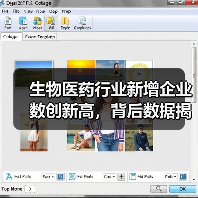 生物医药行业新增企业数创新高,背后数据揭示什么趋势?(图3) 生物医药行业新增企业数创新高,背后数据揭示什么趋势?(图3)