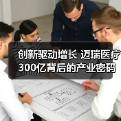 创新驱动增长 迈瑞医疗300亿背后的产业密码（图1）