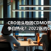 CRO龙头稳固CDMO竞争白热化？2022医药CXO行业深度解析（图2）