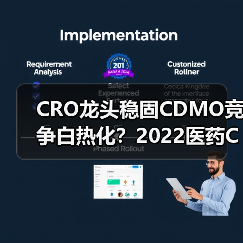 CRO龙头稳固CDMO竞争白热化？2022医药CXO行业深度解析（图4）