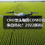 CRO龙头稳固CDMO竞争白热化？2022医药CXO行业深度解析（图3）