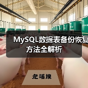 MySQL数据表备份恢复方法全解析(图2) MySQL数据表备份恢复方法全解析(图2)