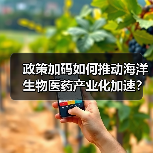 政策加码如何推动海洋生物医药产业化加速？（图3）