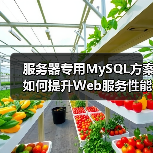 服务器专用MySQL方案如何提升Web服务性能?(图4) 服务器专用MySQL方案如何提升Web服务性能?(图4)