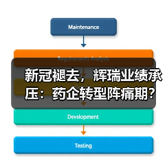 新冠褪去，辉瑞业绩承压：药企转型阵痛期？（图3）