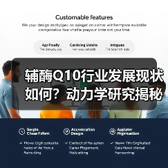 辅酶Q10行业发展现状如何？动力学研究揭秘未来潜力（图1）