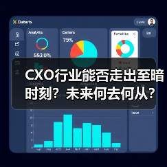 CXO行业能否走出至暗时刻?未来何去何从?(图2) CXO行业能否走出至暗时刻?未来何去何从?(图2)