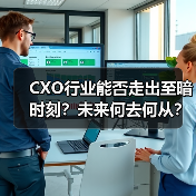 CXO行业能否走出至暗时刻?未来何去何从?(图1) CXO行业能否走出至暗时刻?未来何去何从?(图1)