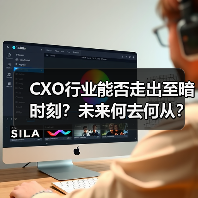 CXO行业能否走出至暗时刻?未来何去何从?(图3) CXO行业能否走出至暗时刻?未来何去何从?(图3)