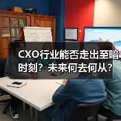 CXO行业能否走出至暗时刻?未来何去何从?(图4) CXO行业能否走出至暗时刻?未来何去何从?(图4)