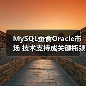 MySQL蚕食Oracle市场 技术支持成关键瓶颈（图2）