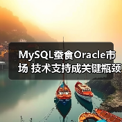 MySQL蚕食Oracle市场 技术支持成关键瓶颈（图4）
